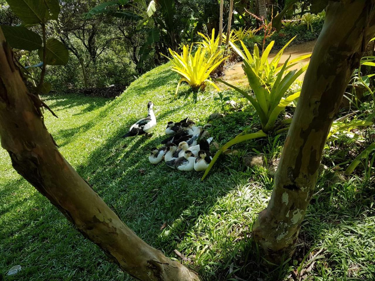 Pousada Rancho Flores Caete Exterior photo